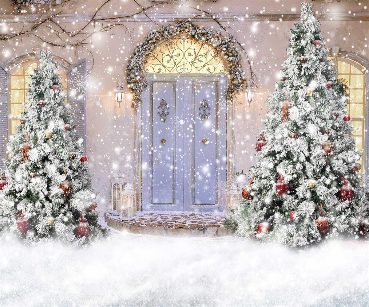 Kate Christmas Door Front Snow Backdrop for Photography - Image 11