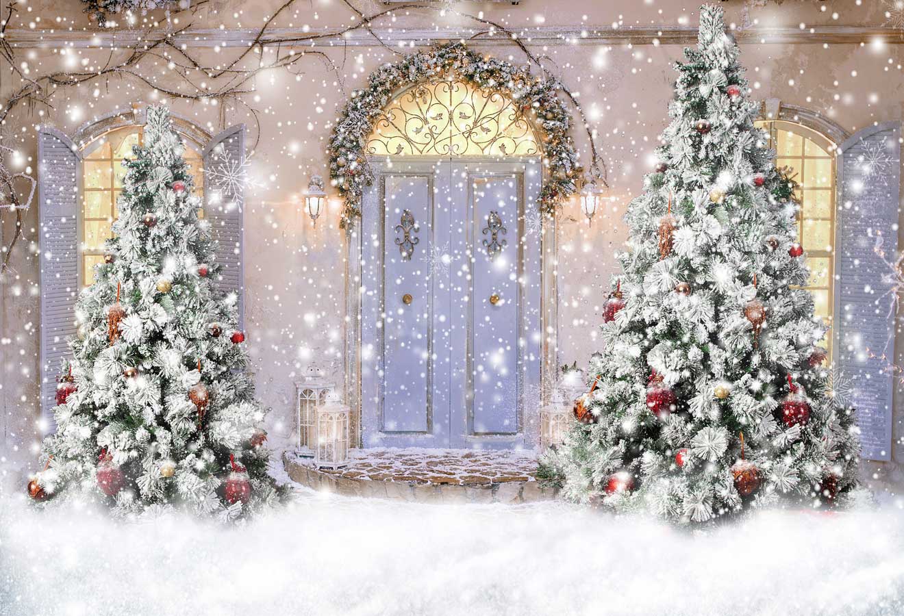 Kate Christmas Door Front Snow Backdrop for Photography - Image 2