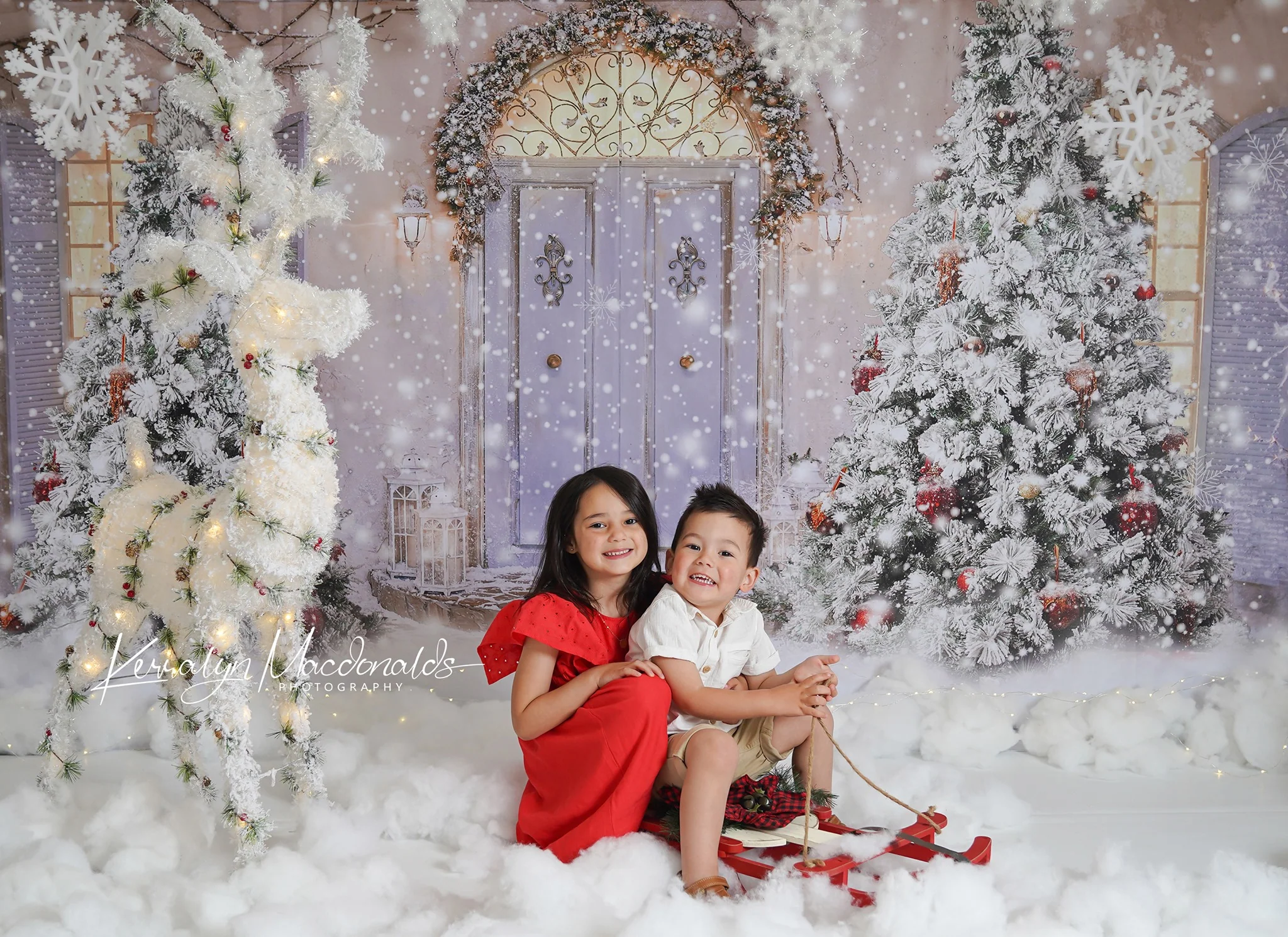Kate Christmas Door Front Snow Backdrop for Photography - Image 7