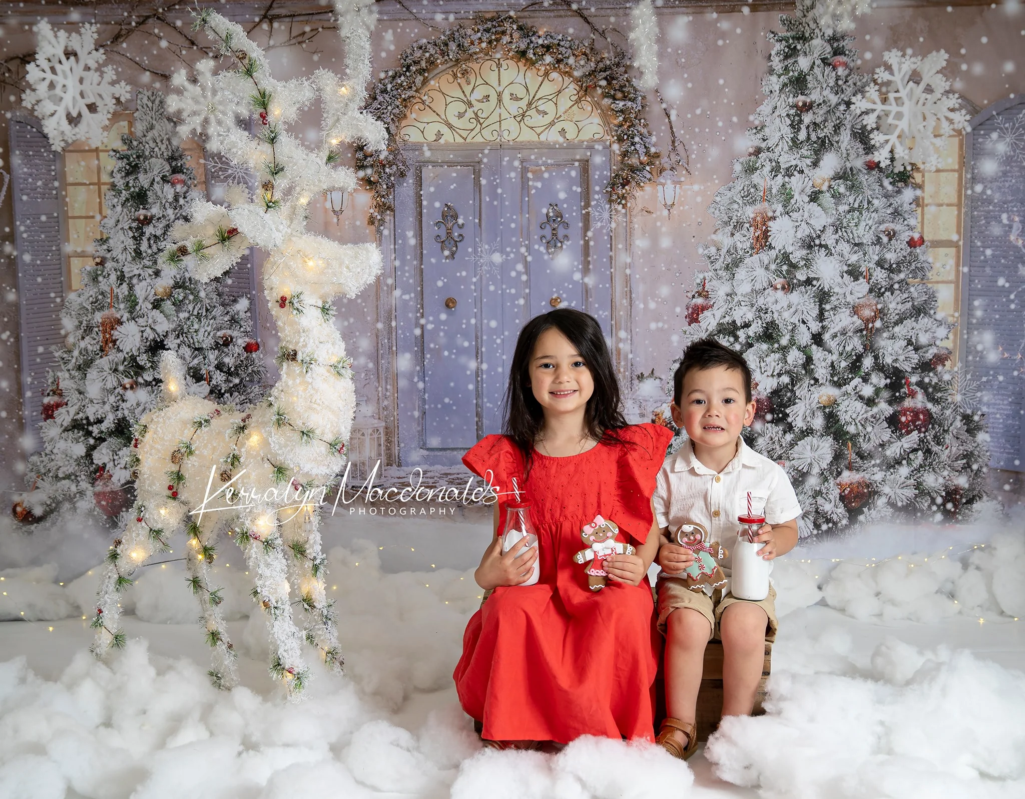 Kate Christmas Door Front Snow Backdrop for Photography - Image 9