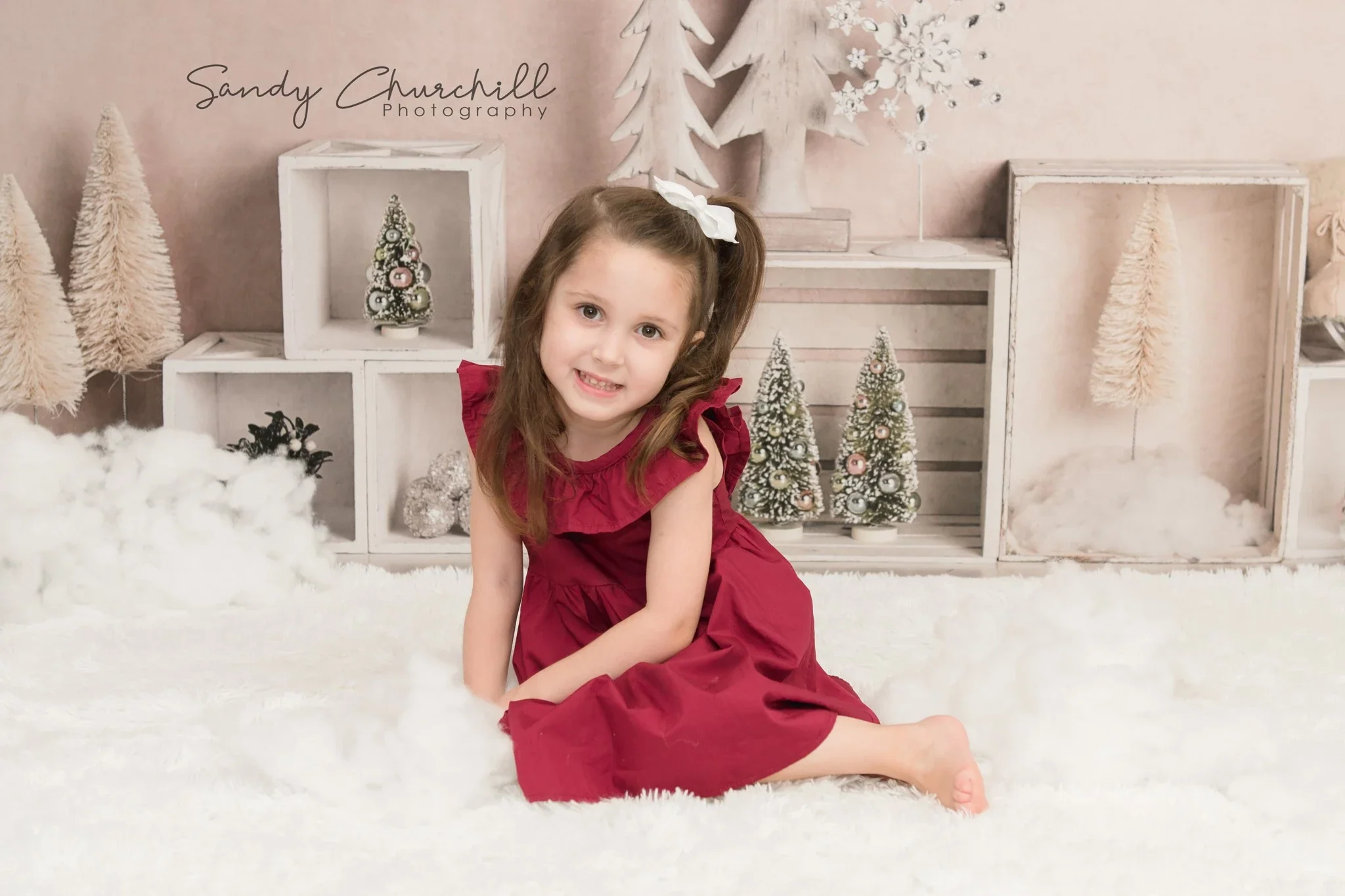 Kate Christmas Elegant Winter Backdrop Designed By Mandy Ringe Photography - Image 3