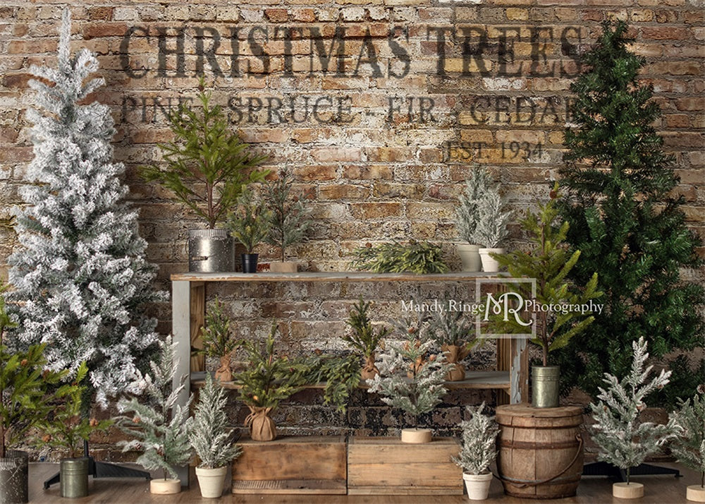 Kate Christmas Farm Fresh Tree Backdrop Designed by Mandy Ringe Photography - Image 2