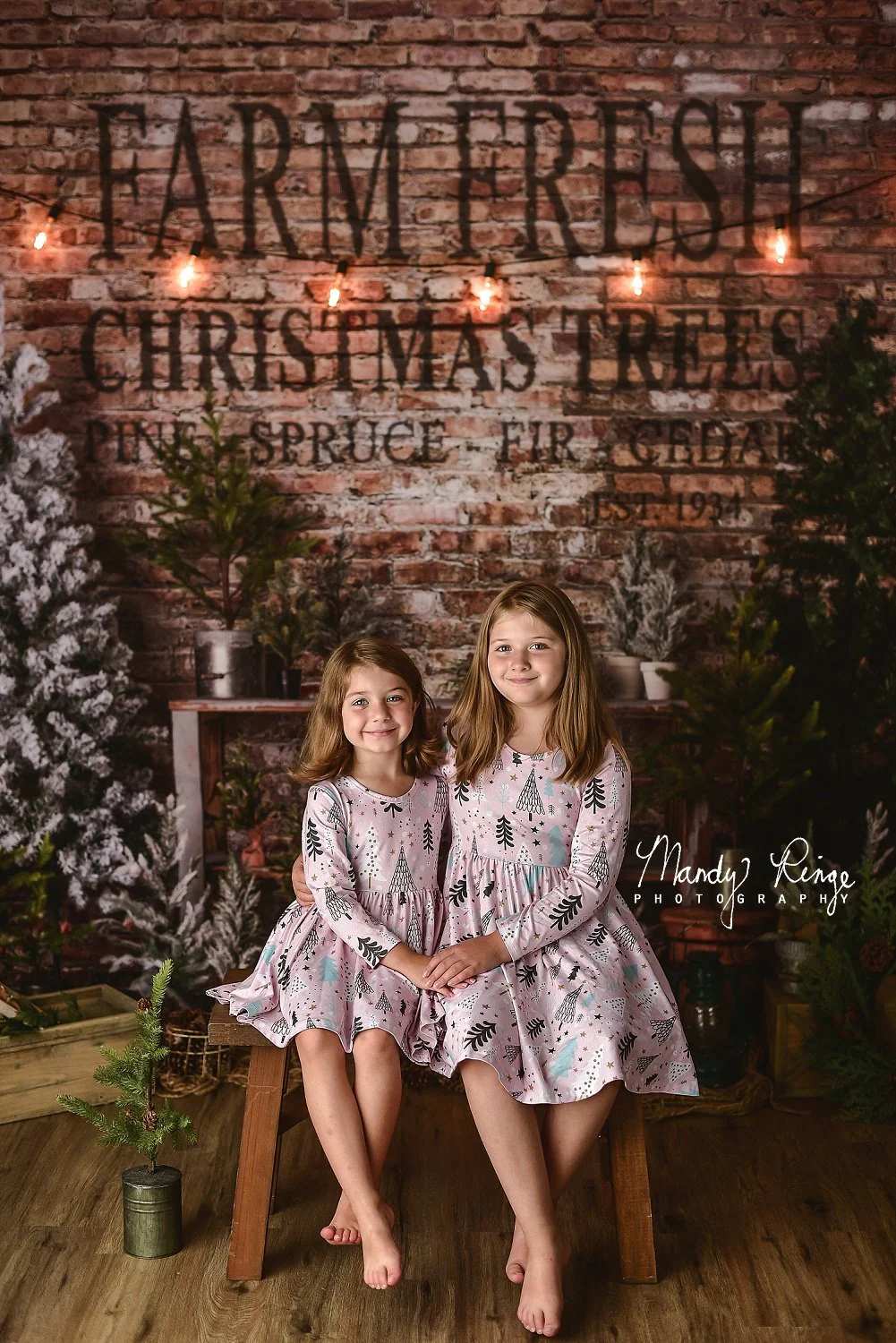 Kate Christmas Farm Fresh Tree Backdrop Designed by Mandy Ringe Photography - Image 4