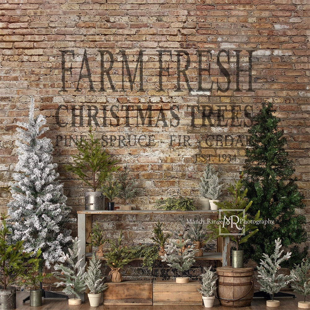 Kate Christmas Farm Fresh Tree Backdrop Designed by Mandy Ringe Photography - Image 5
