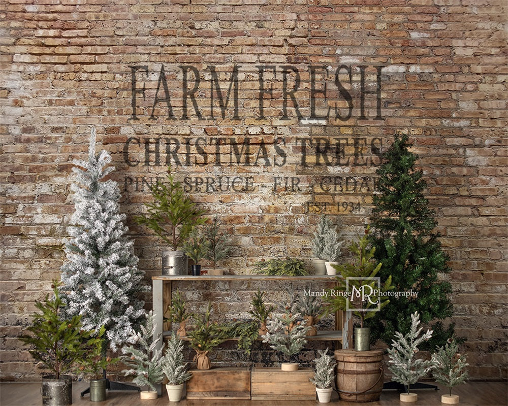 Kate Christmas Farm Fresh Tree Backdrop Designed by Mandy Ringe Photography - Image 6