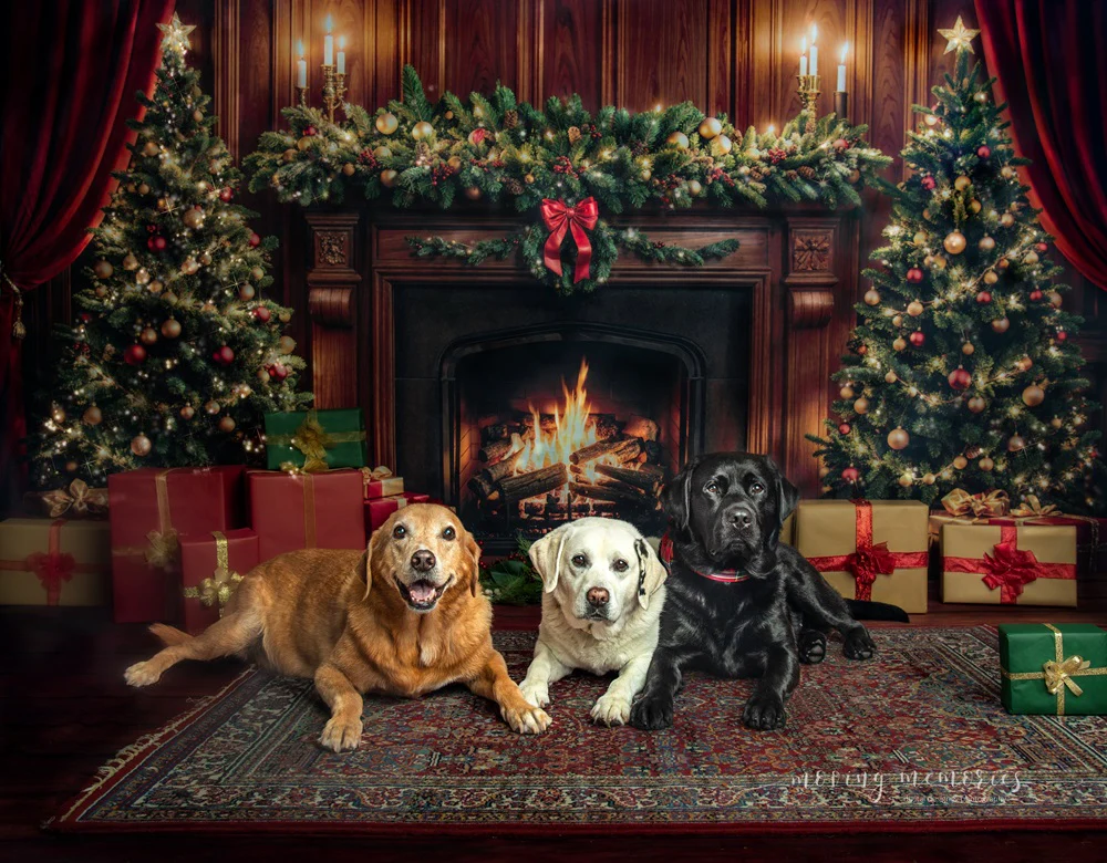 Kate Christmas Fireplace Tree Retro Wall Backdrop+Brown Wood Texture Floor Backdrop - Image 3