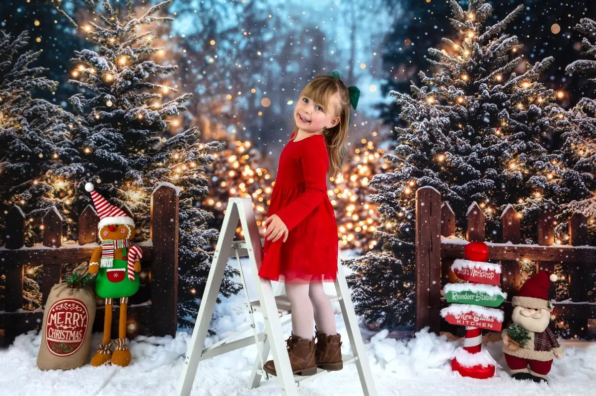 Kate Christmas Forest Snowy Lights Backdrop Designed by Emetselch - Image 6