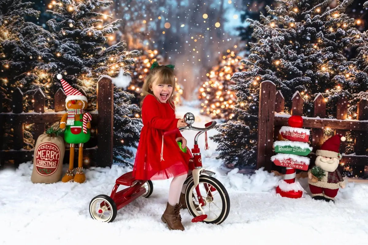Kate Christmas Forest Snowy Lights Backdrop Designed by Emetselch - Image 7