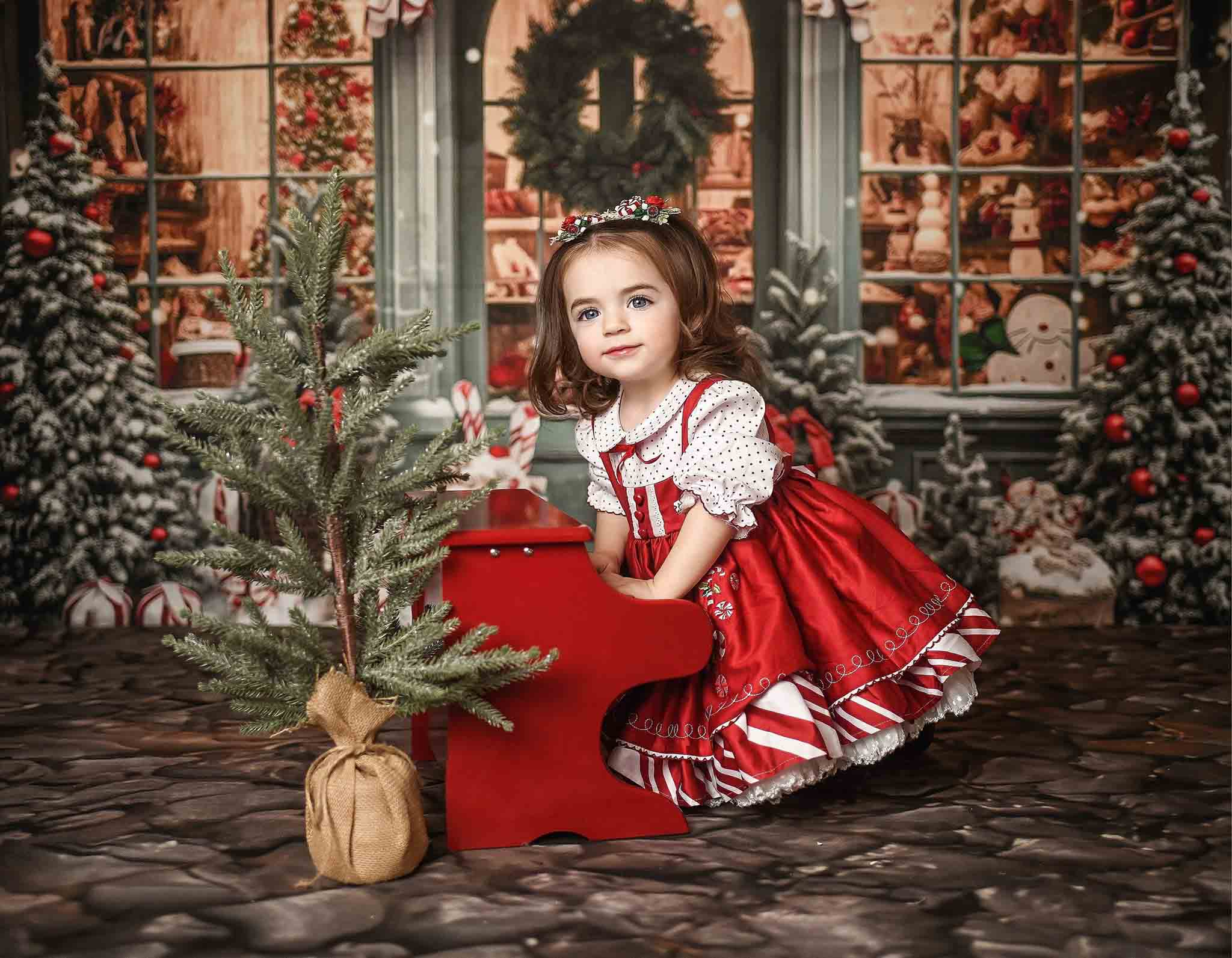 Kate Christmas Gift Store in Snow Fleece Backdrop for Photography - Image 10