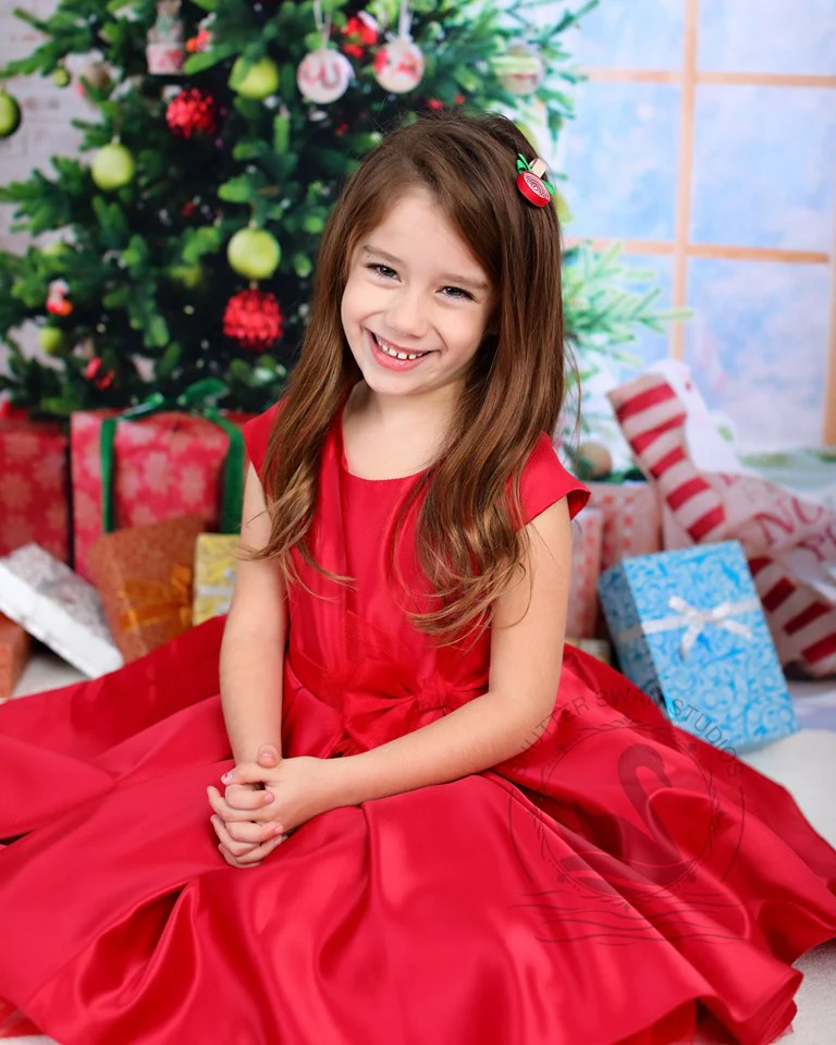 Kate Christmas Gifts Room Decoration Window View Backdrop - Image 6