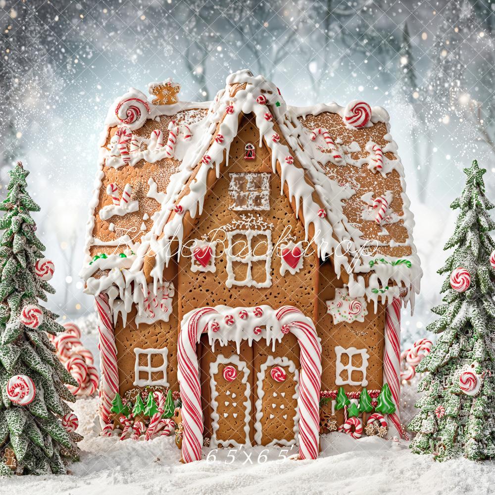 Kate Christmas Gingerbread House Candy Trees Snowy Backdrop Designed by Chain Photography - Image 4