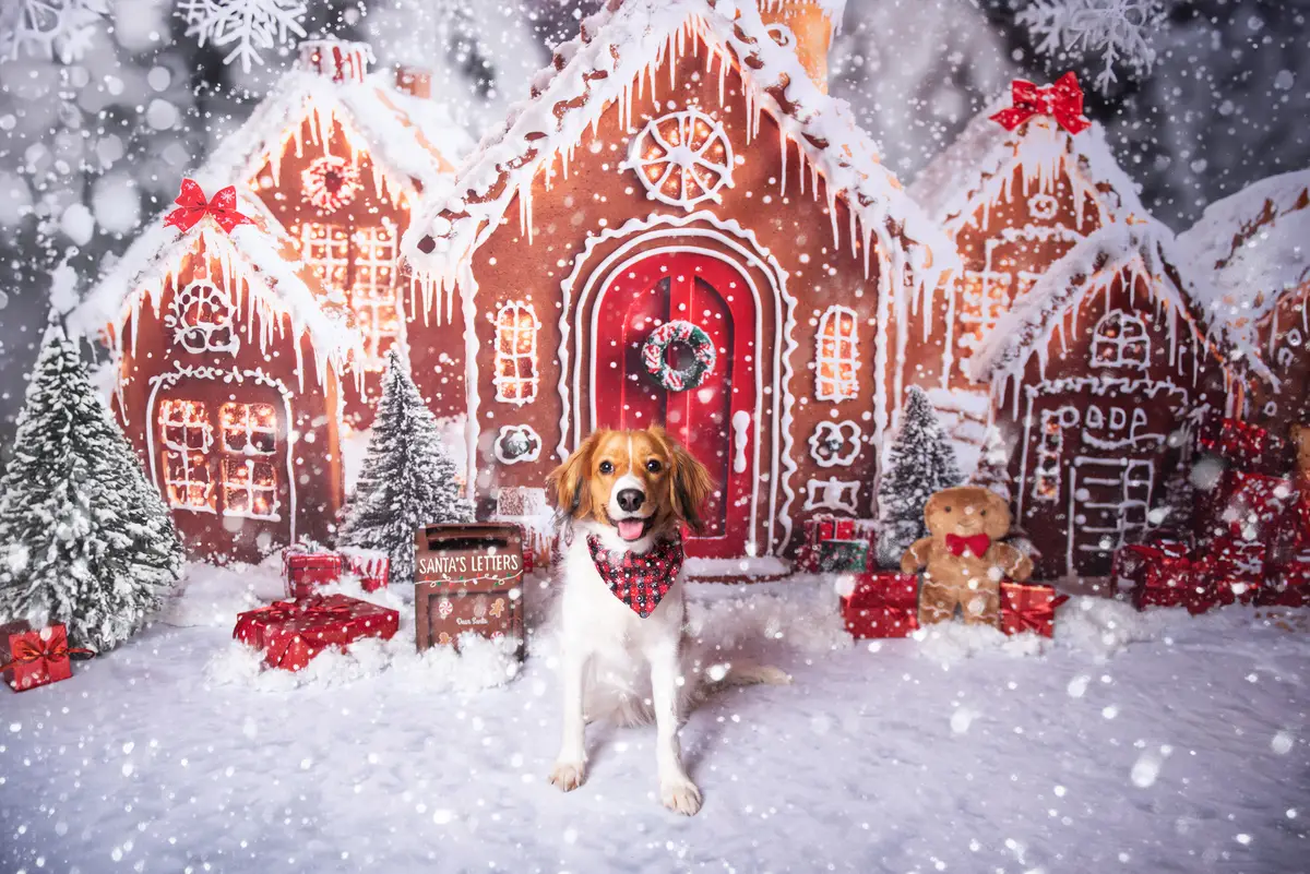 Kate Christmas Gingerbread Houses Snowy Backdrop+Winter Snow Floor Backdrop - Image 3