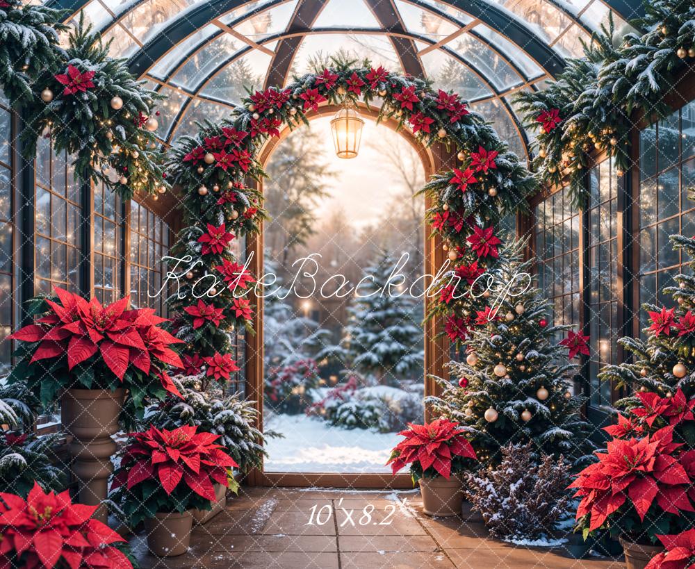 Kate Christmas Glass Greenhouse Plants Backdrop Designed by Emetselch - Image 6