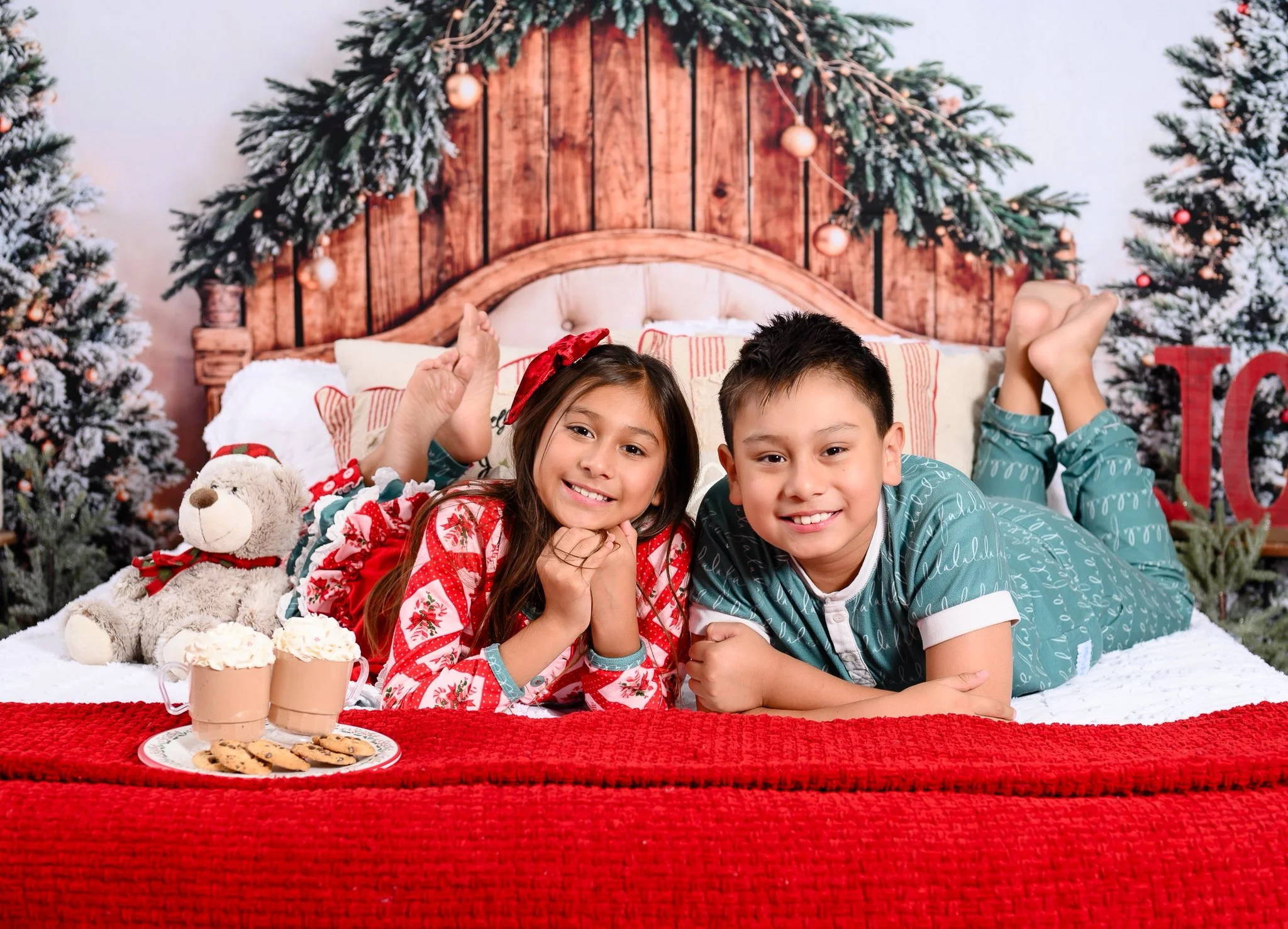 Kate Christmas Headboard Backdrop Designed by Emetselch - Image 2