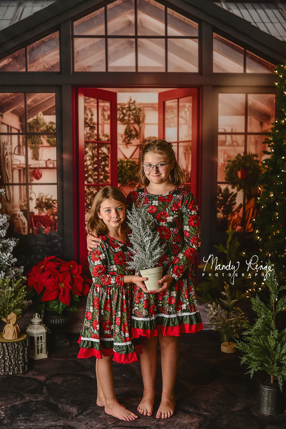 Kate Christmas Holiday Greenhouse Backdrop Designed by Mandy Ringe Photography - Image 3