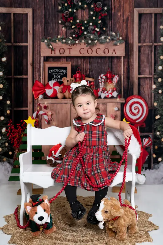 Kate Christmas Hot Cocoa Wooden Winter Backdrop Designed by Emetselch - Image 13
