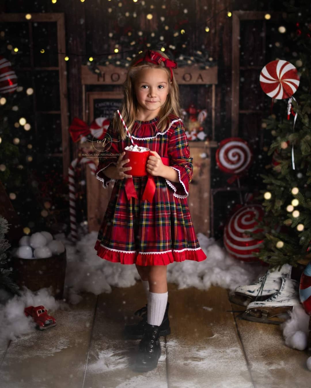 Kate Christmas Hot Cocoa Wooden Winter Backdrop Designed by Emetselch - Image 14