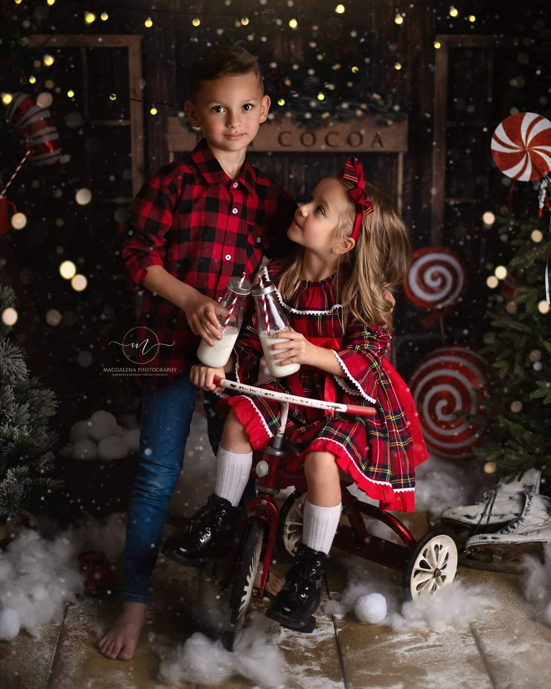 Kate Christmas Hot Cocoa Wooden Winter Backdrop Designed by Emetselch - Image 8