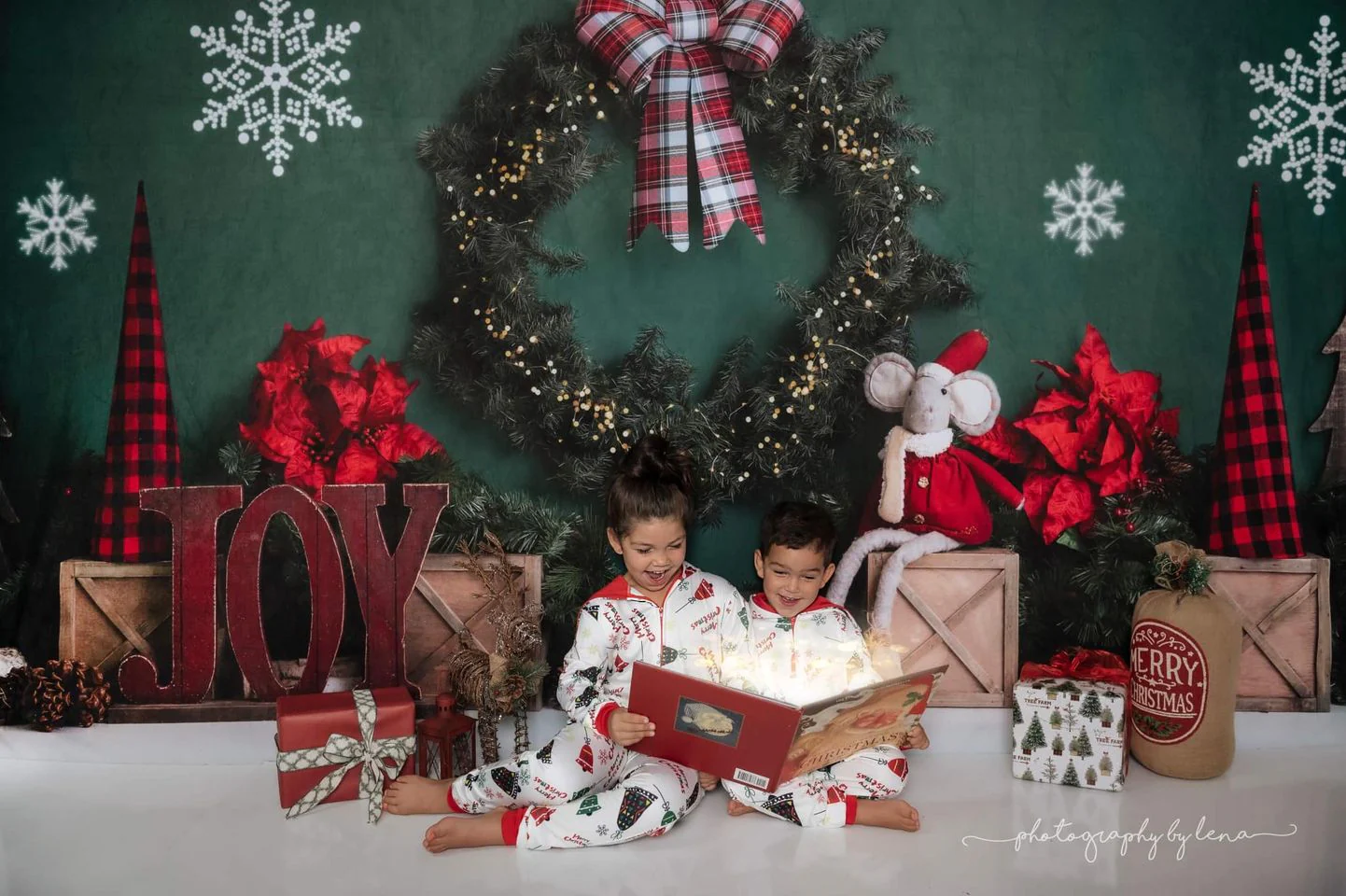 Kate Christmas Joy Backdrop Designed by Megan Leigh Photography