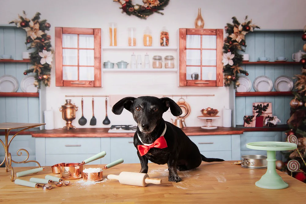 Kate Christmas Kitchen Room Backdrop for Photography - Image 5