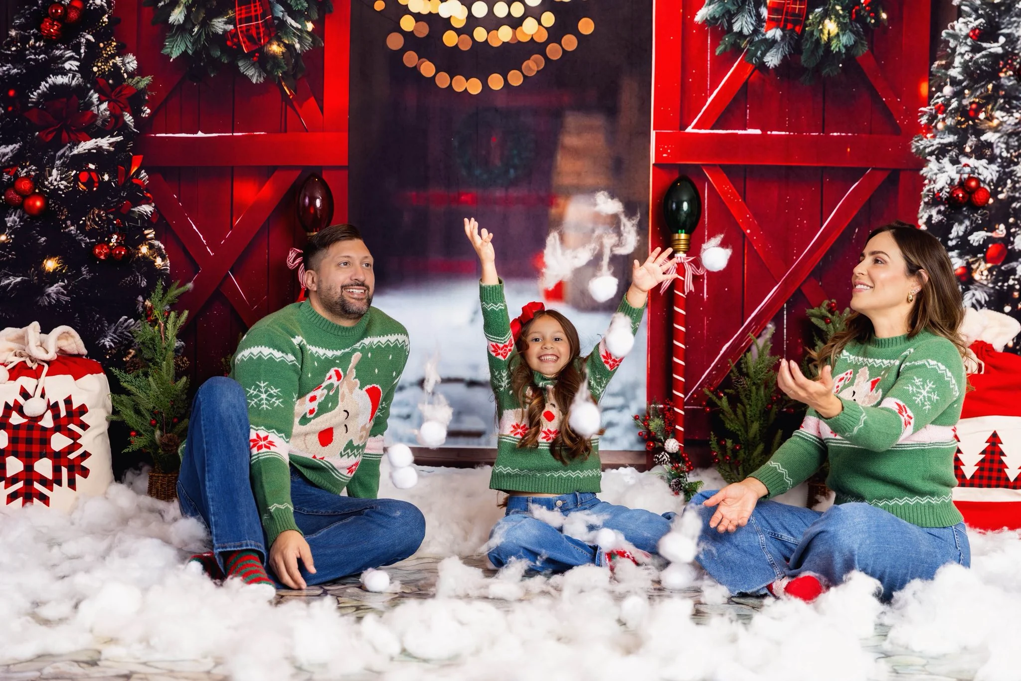 Kate Christmas Night Red Barn Door Backdrop Designed by Emetselch - Image 12