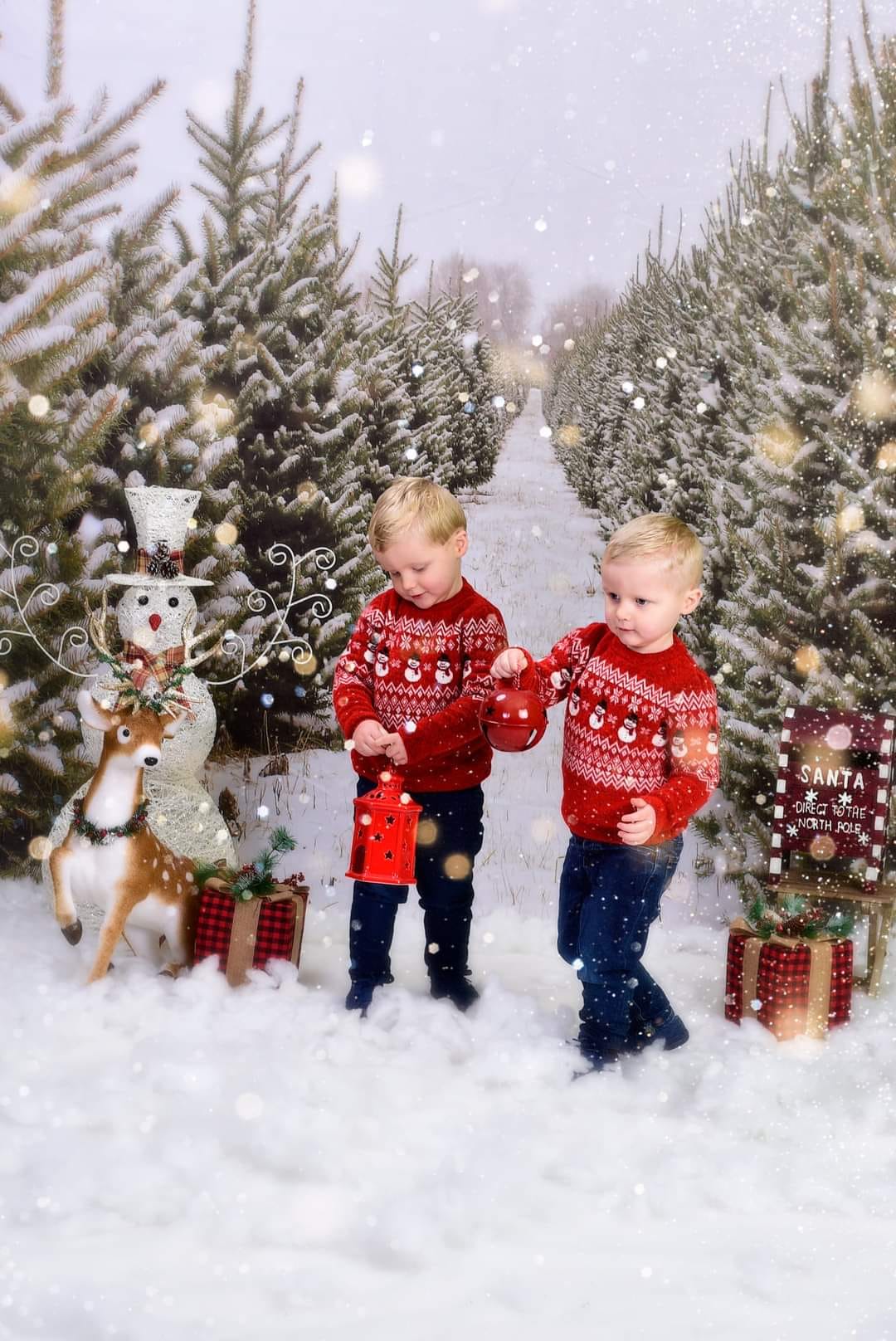 Kate Christmas Pines Tree Farm Path Backdrop for Photography - Image 5