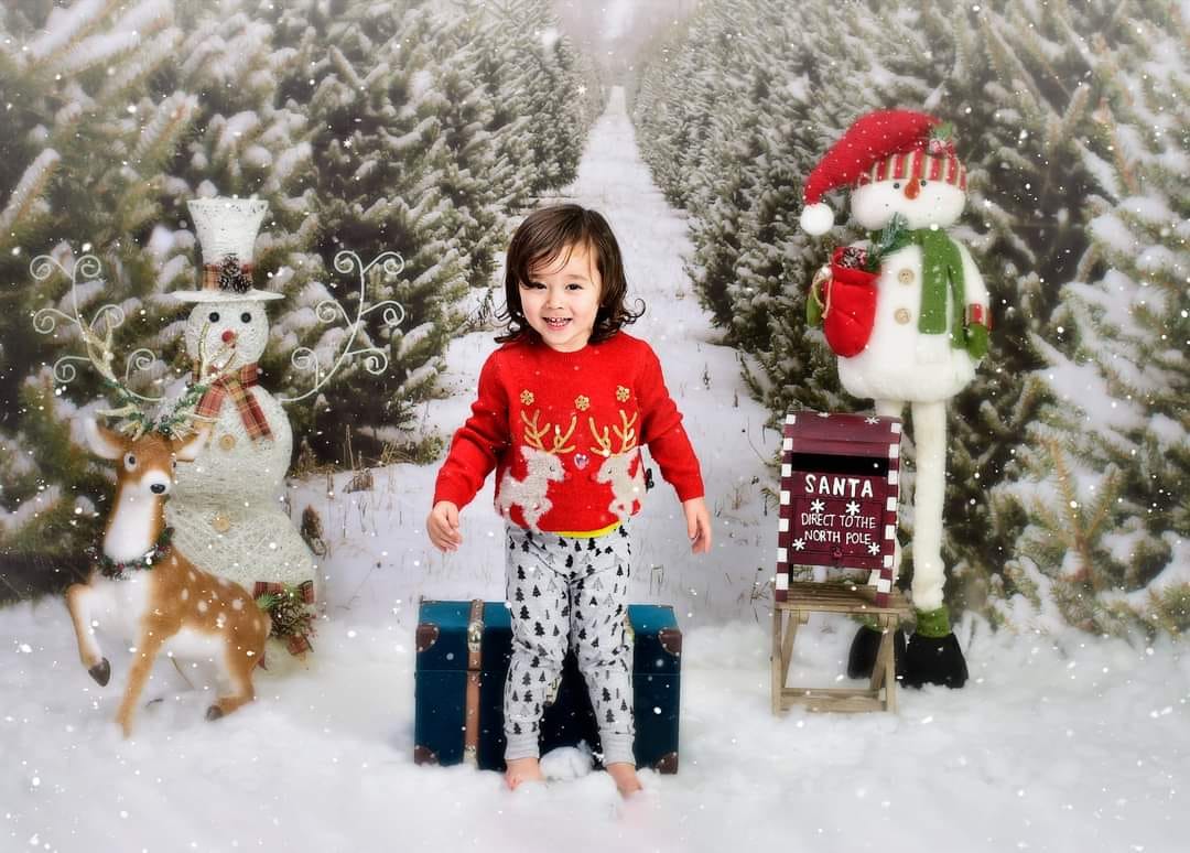 Kate Christmas Pines Tree Farm Path Backdrop for Photography - Image 7