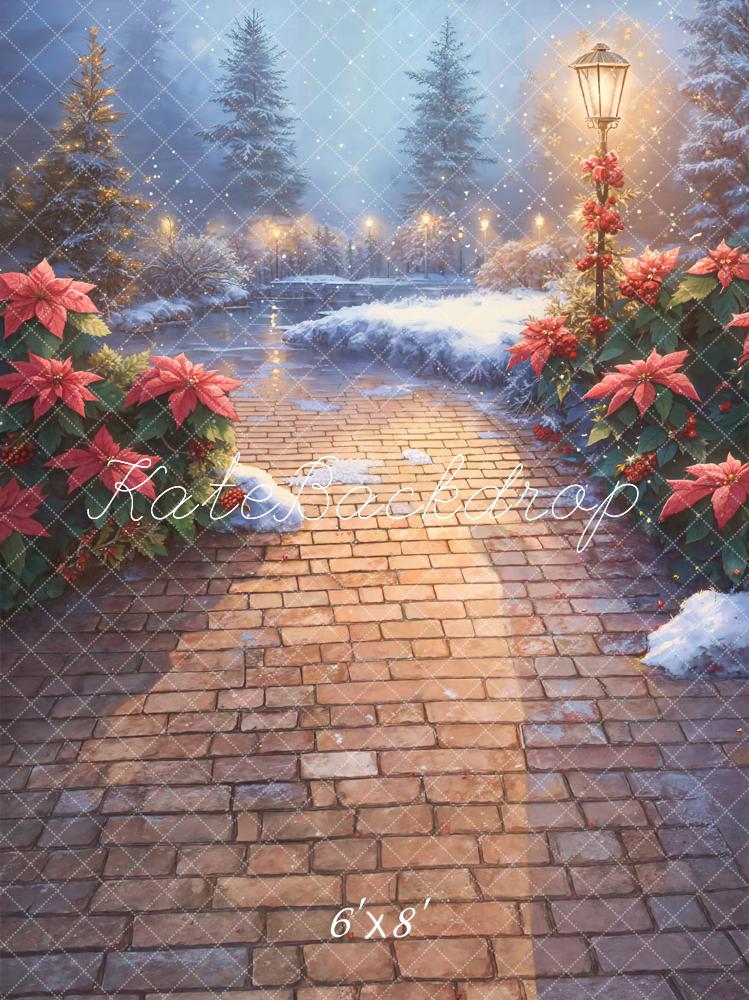 Kate Christmas Poinsettia Snowy Path Fleece Backdrop Designed by Emetselch