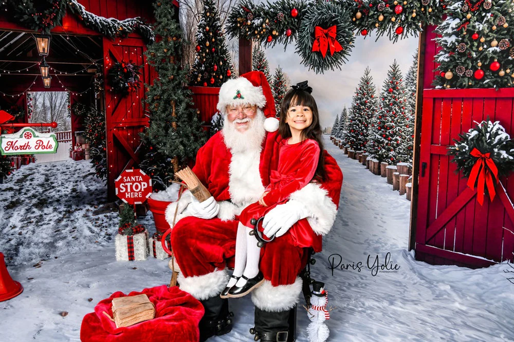 Kate Christmas Red Barn Snow Lane Forest Gate Room Set - Image 3
