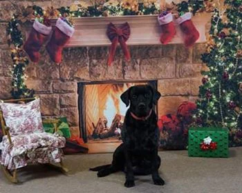 Kate Christmas Red Socks with Fireplace Backdrop for Photography - Image 3