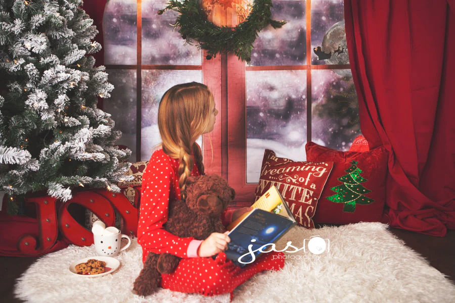Kate Christmas Snow And Sunshine Outside Window Backdrops for Photography - Image 10