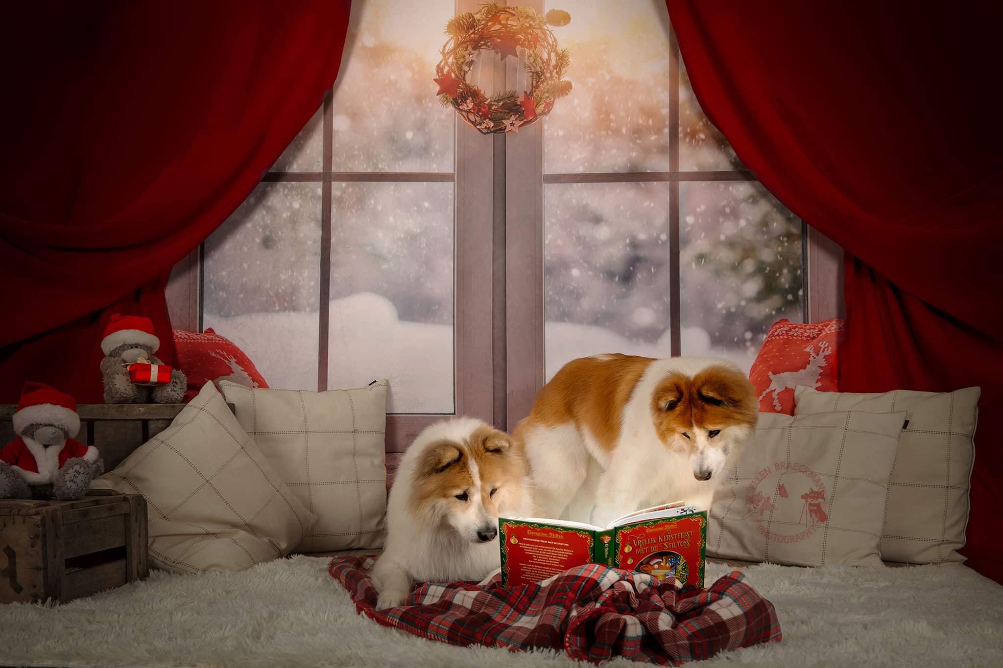 Kate Christmas Snow And Sunshine Outside Window Backdrops for Photography - Image 4