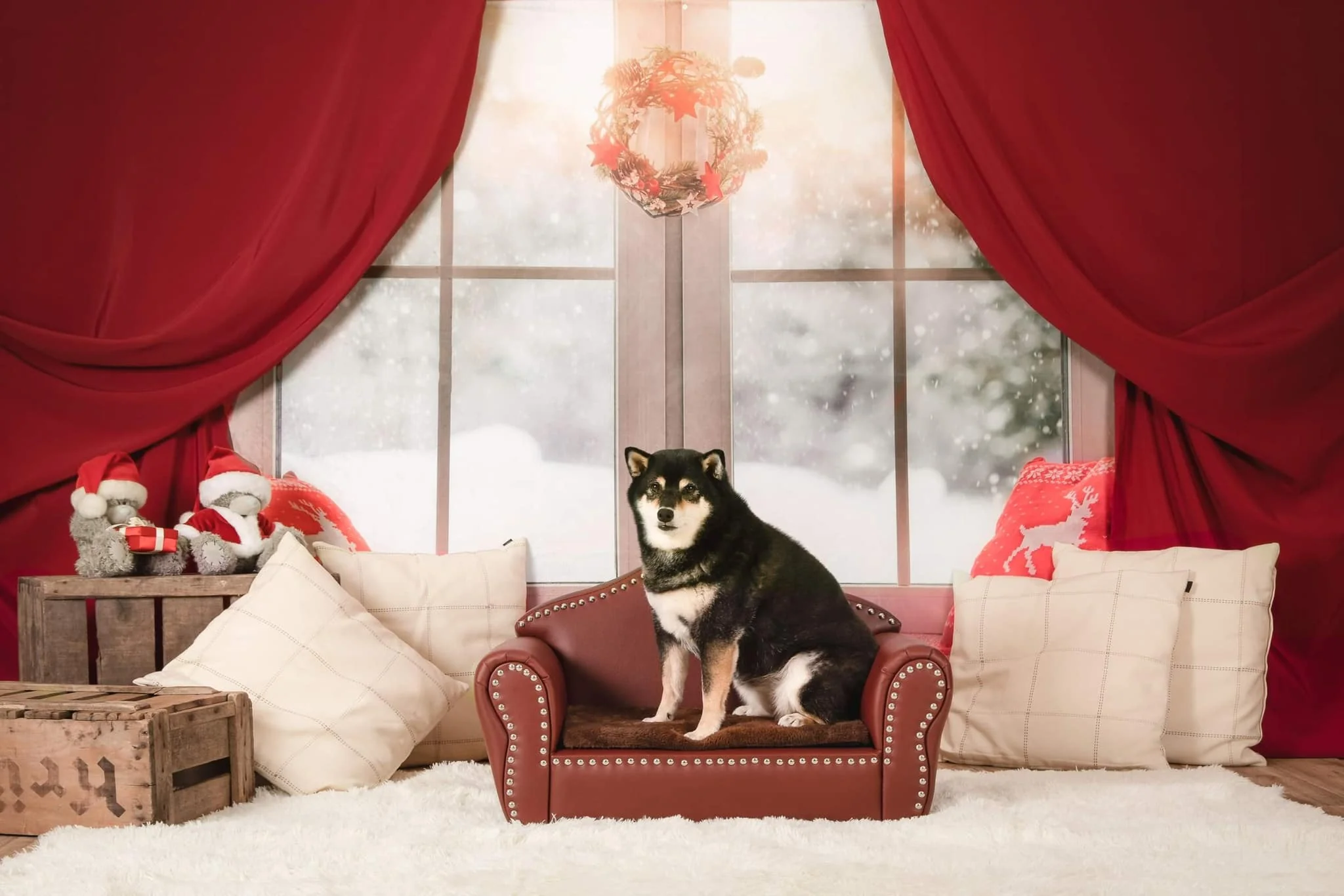 Kate Christmas Snow And Sunshine Outside Window Backdrops for Photography - Image 7
