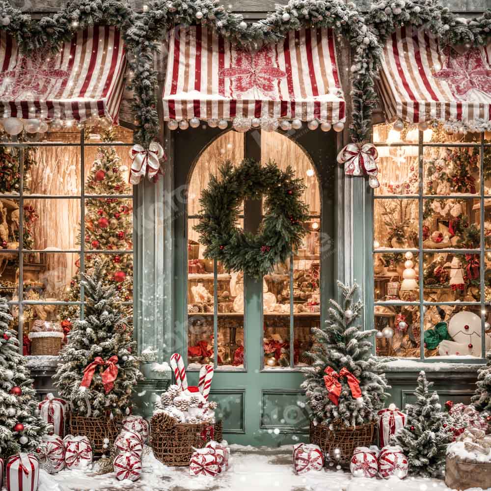 Kate Christmas Snow Cabin Backdrop for Photography - Image 11