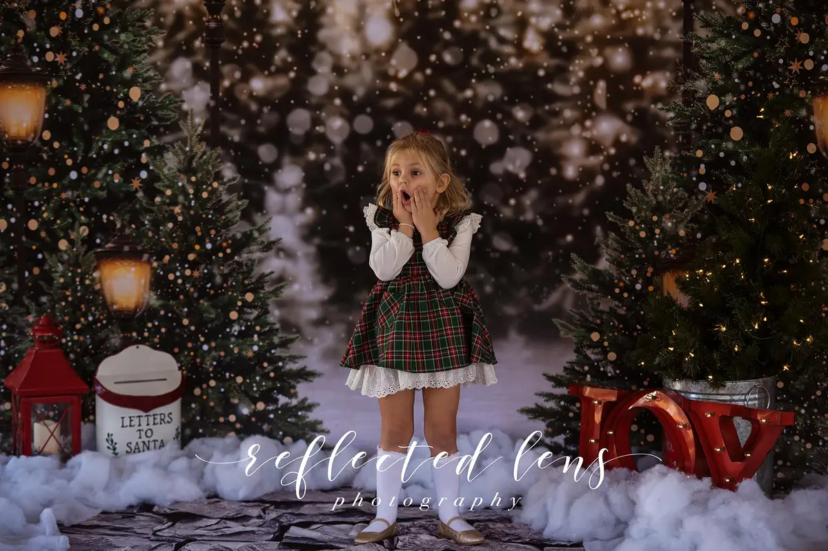 Kate Christmas Snow Forest Lights Fleece Backdrop for Photography - Image 11