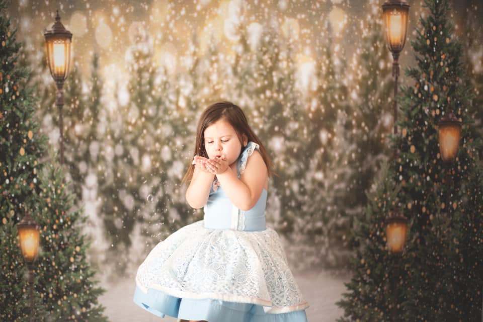 Kate Christmas Snow Forest Lights Fleece Backdrop for Photography - Image 16