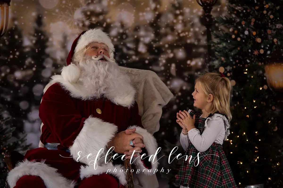 Kate Christmas Snow Forest Lights Fleece Backdrop for Photography - Image 18