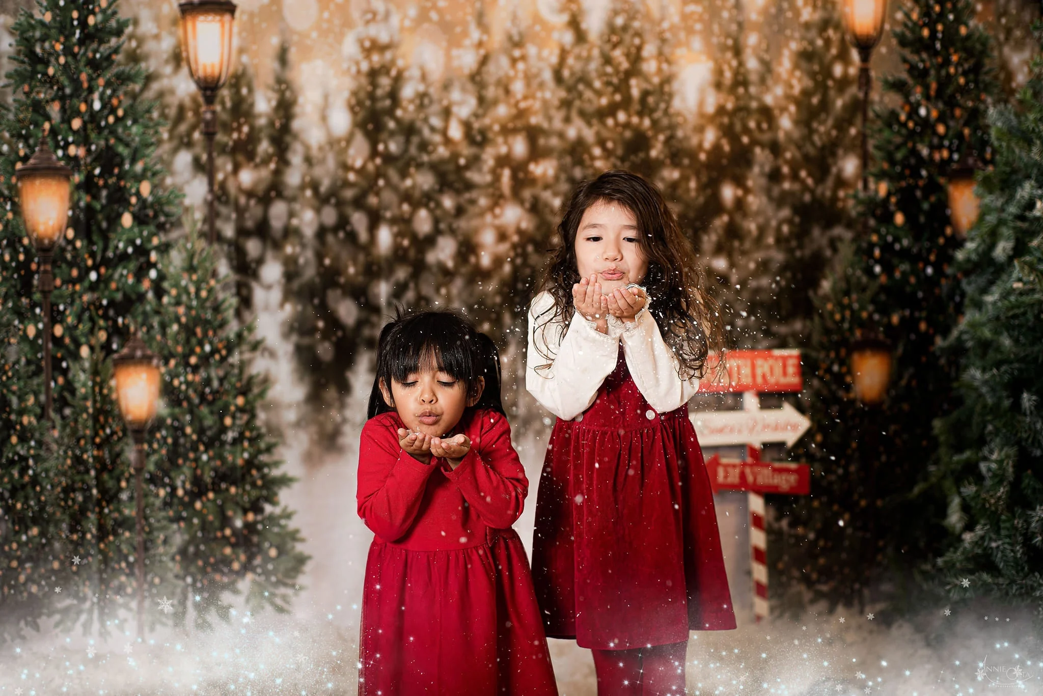 Kate Christmas Snow Forest Lights Fleece Backdrop for Photography - Image 20