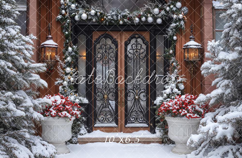 Kate Christmas Snowy Door Winter Backdrop Designed by Emetselch - Image 7