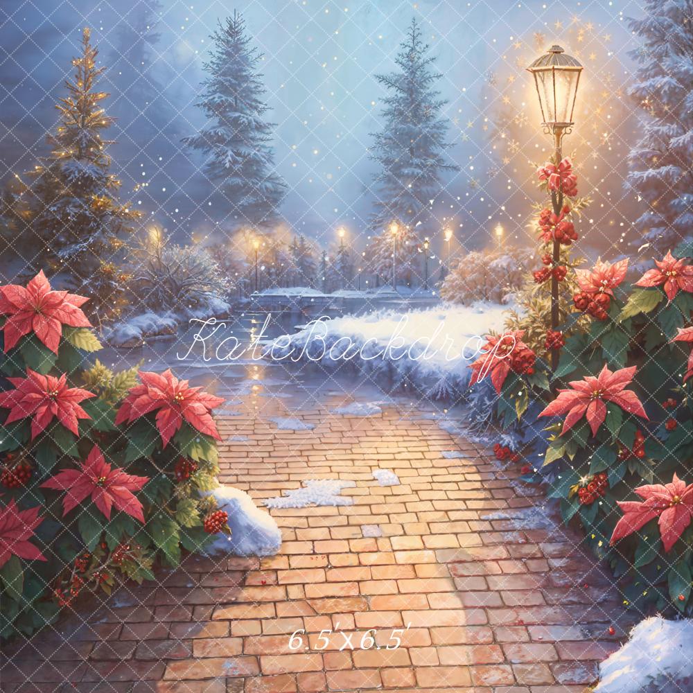 Kate Christmas Snowy Stone Path Poinsettia Lamp Backdrop Designed by Emetselch - Image 2
