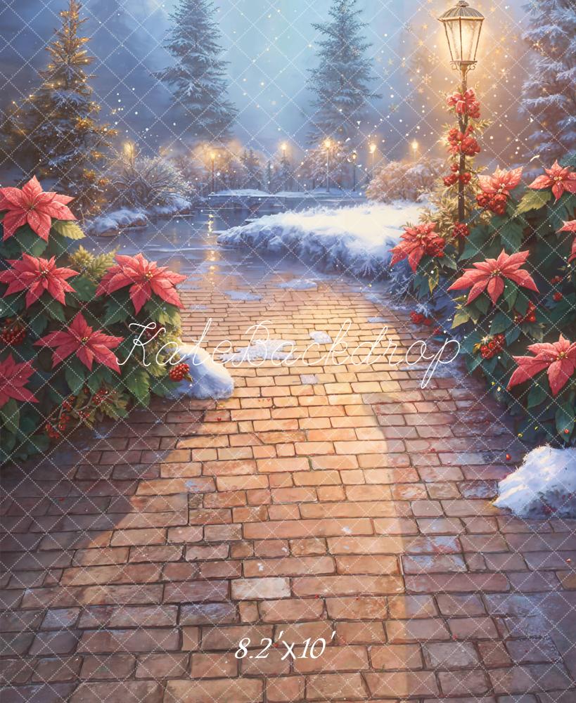 Kate Christmas Snowy Stone Path Poinsettia Lamp Backdrop Designed by Emetselch - Image 6