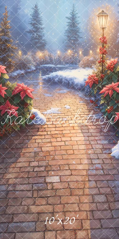 Kate Christmas Snowy Stone Path Poinsettia Lamp Backdrop Designed by Emetselch - Image 8