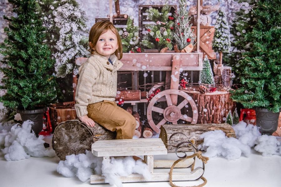 Kate Christmas Snowy Tree Vending Truck Winter Backdrop Designed by Emetselch - Image 4