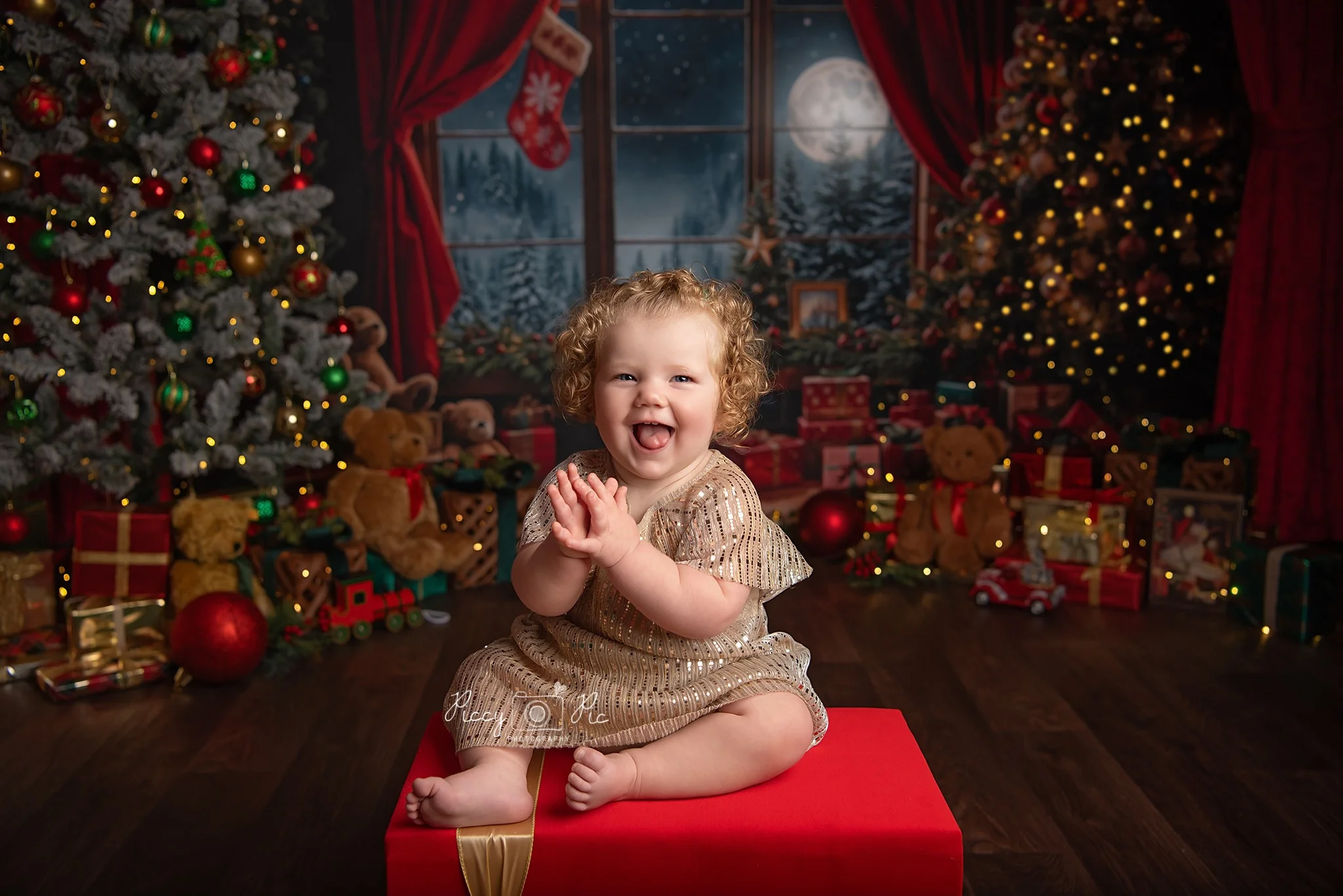 Kate Christmas Teddy Bear Red Curtain Window Backdrop Designed by Emetselch - Image 3