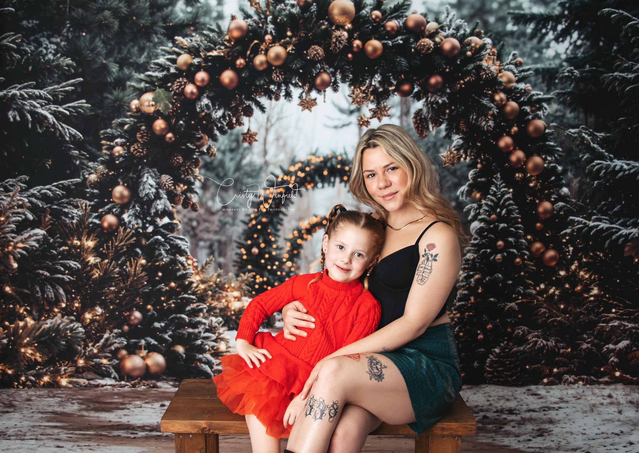 Kate Christmas Tree Archway Forest Backdrop Designed by Emetselch - Image 3