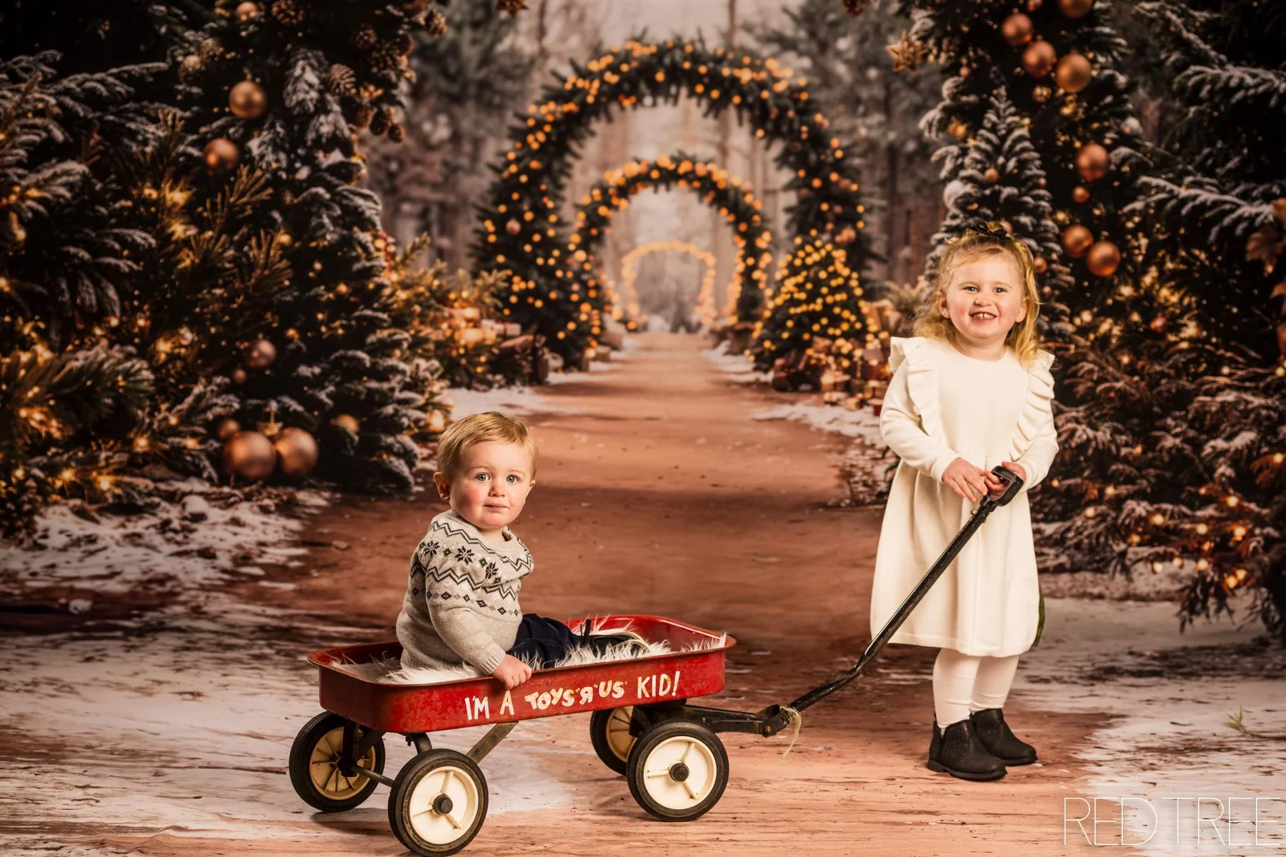 Kate Christmas Tree Archway Forest Backdrop Designed by Emetselch - Image 5
