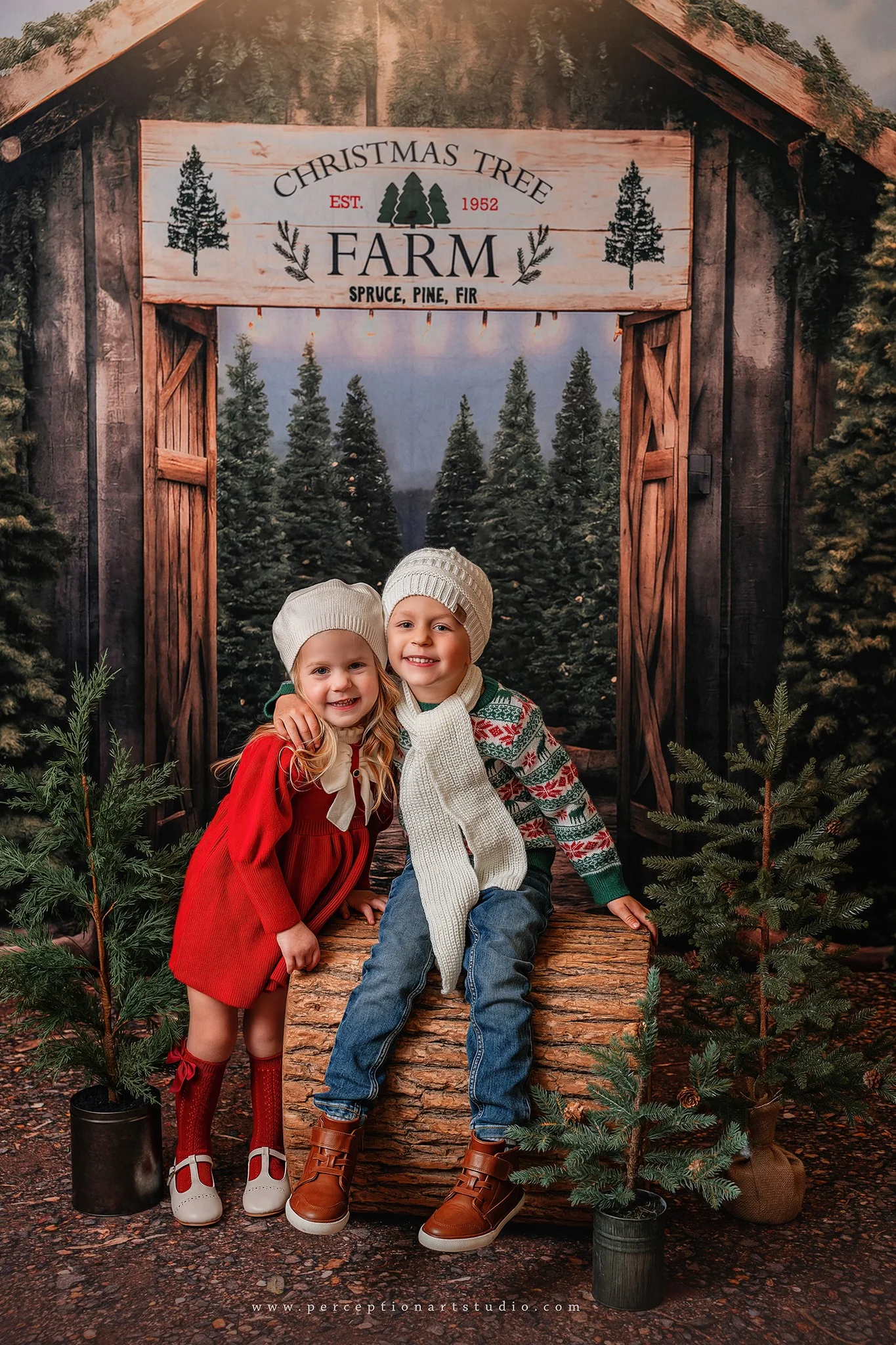 Kate Christmas Tree Farm Entrance Backdrop for Photography - Image 3