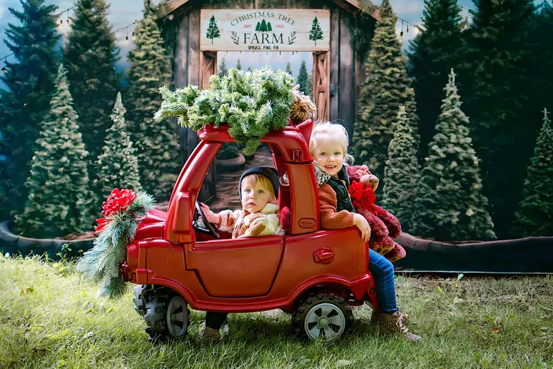Kate Christmas Tree Farm Entrance Backdrop for Photography - Image 5
