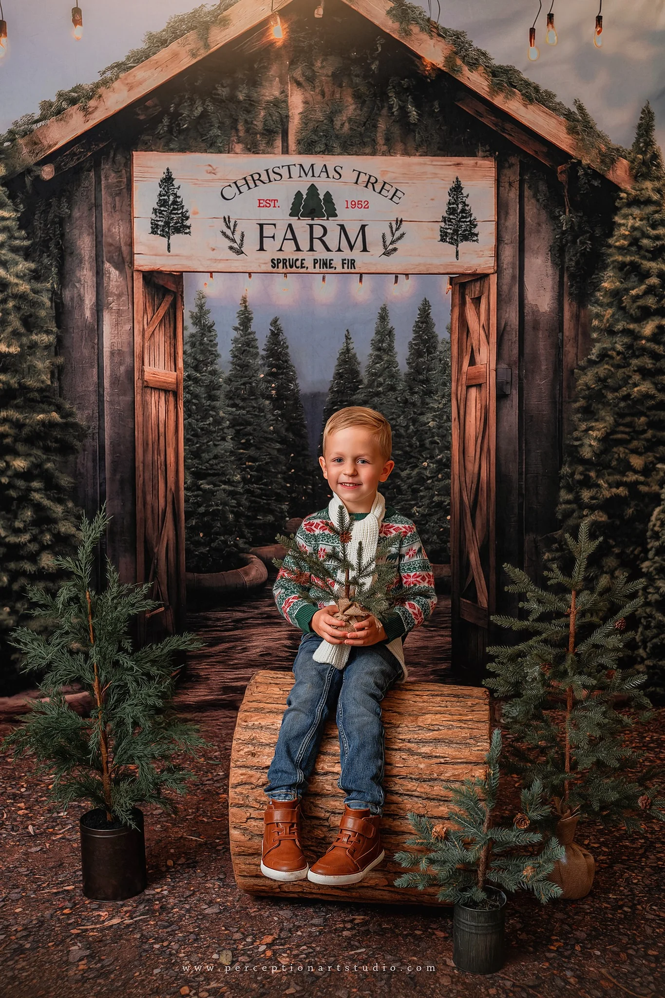Kate Christmas Tree Farm Entrance Backdrop for Photography - Image 6