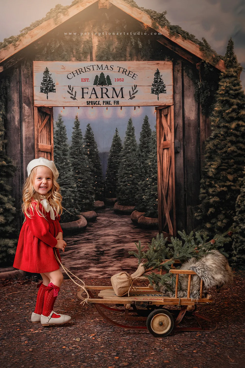 Kate Christmas Tree Farm Entrance Backdrop for Photography - Image 7